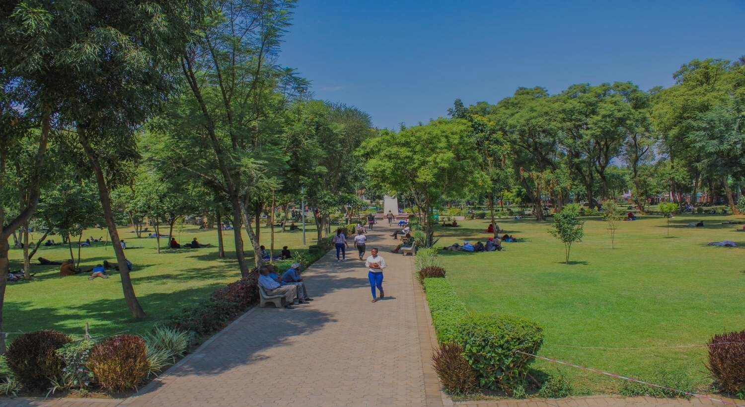 Nakuru City Nyayo Gardens Env Darkened 30
